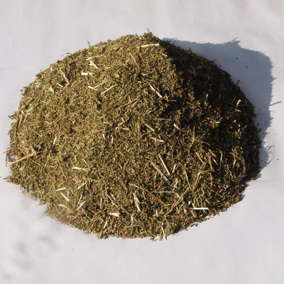 Biomasa z konopí odrůdy Bialobrzeskie, z níž je například pomocí extrakce získáván koncentrát s obsahem léčebných kanabinoidů